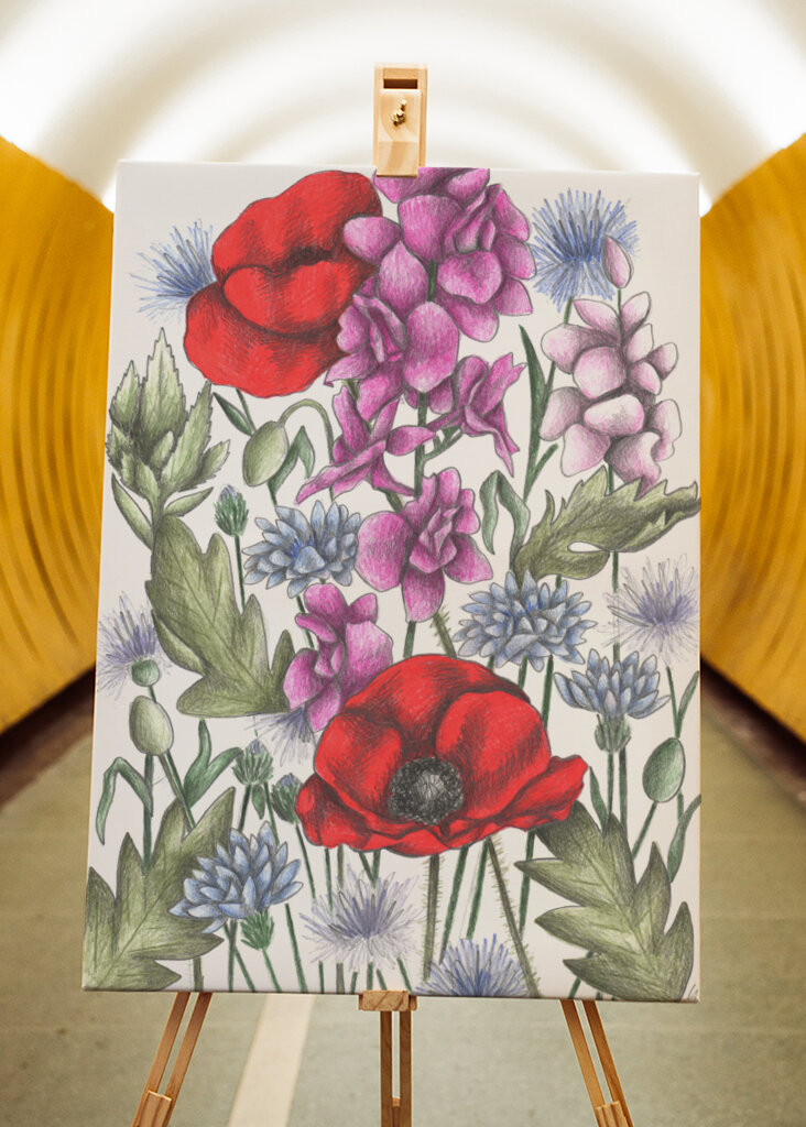 Colorful Flower Garden