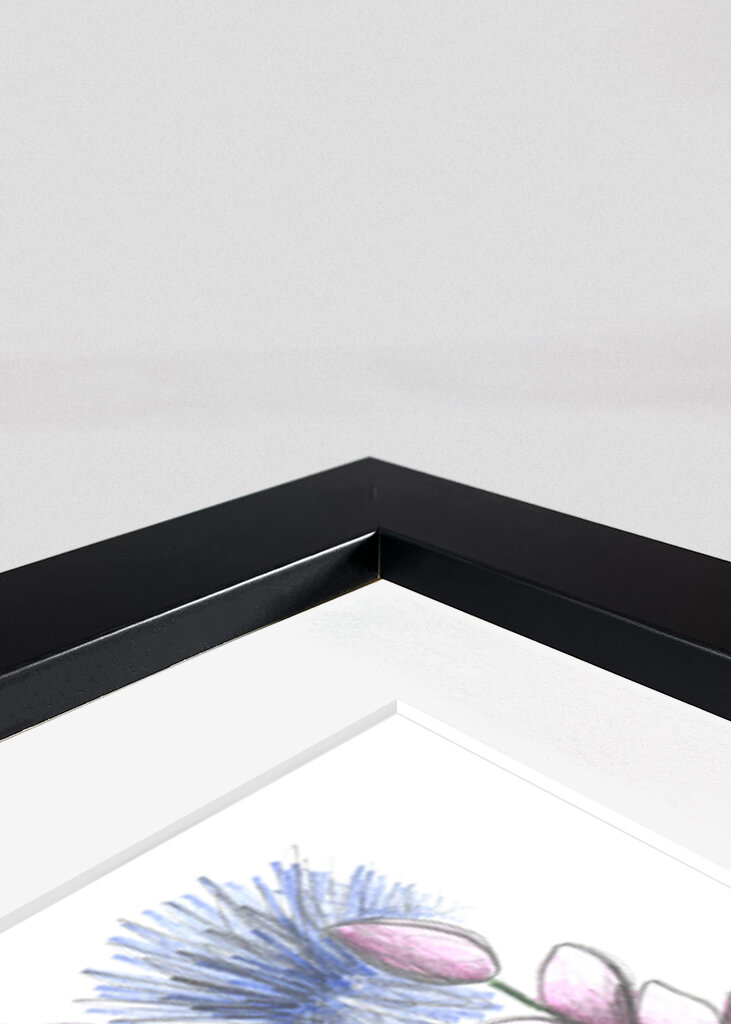 Colorful Flower Garden