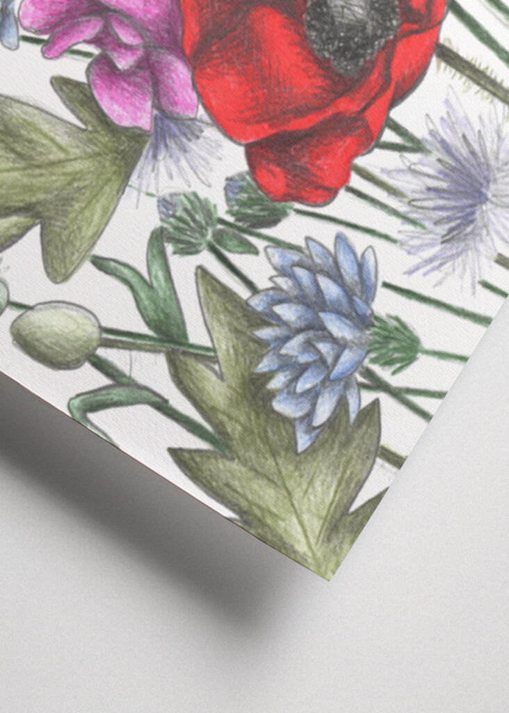 Colorful Flower Garden