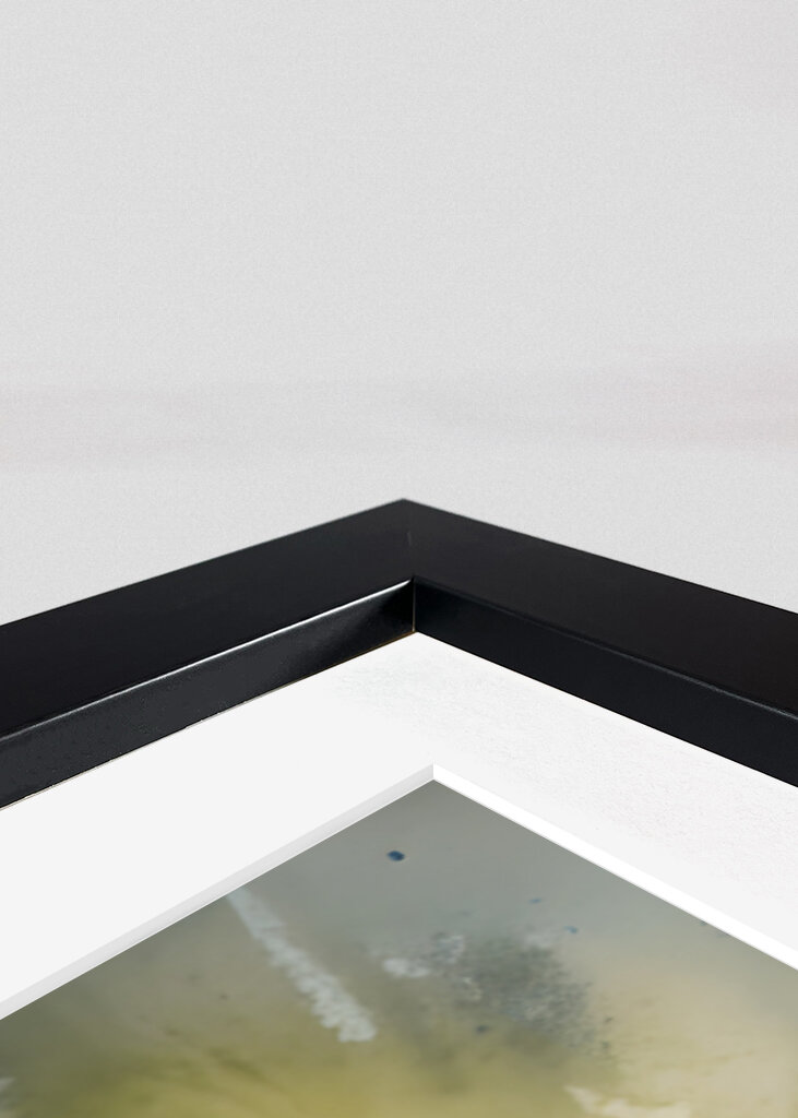 The Alchemist’s Cat