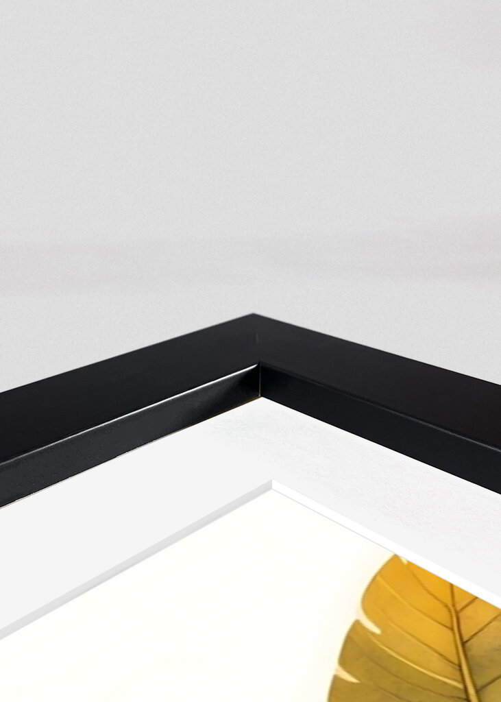 Tropical Leaves And Delicate Flowers