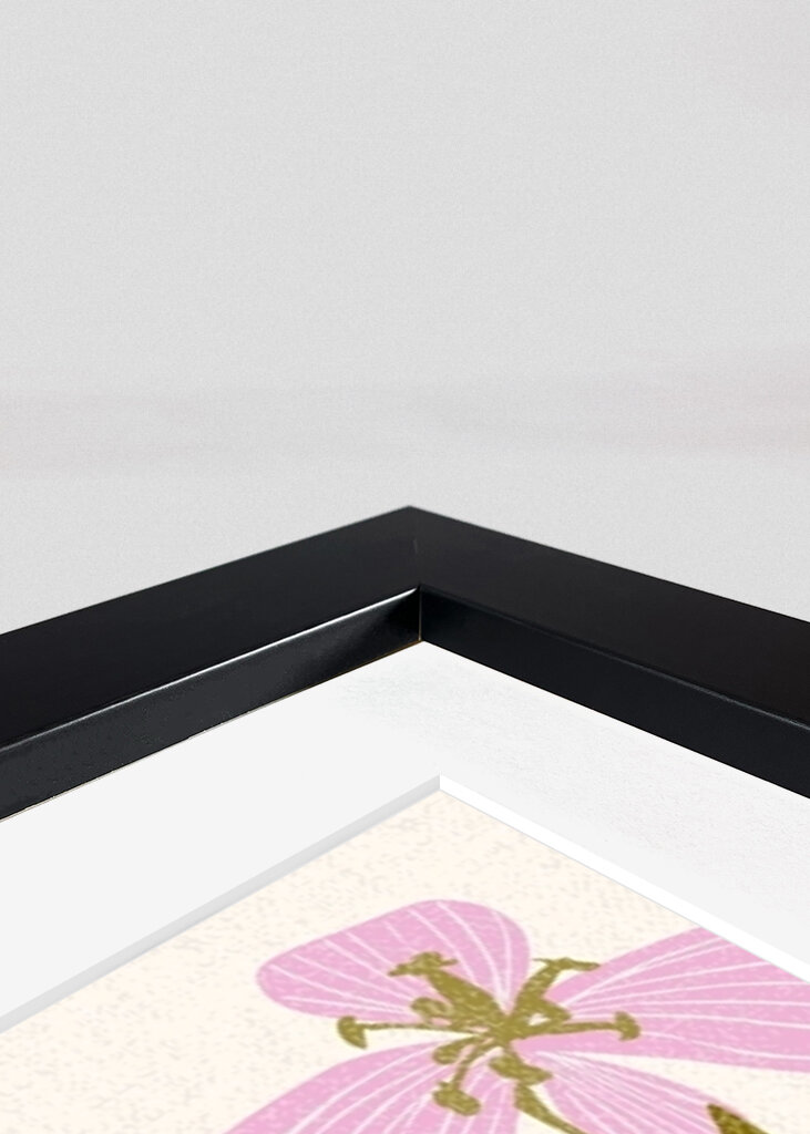 Colorful Petals and Green Leaves