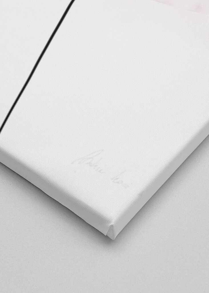 A Graceful One-Line Drawing