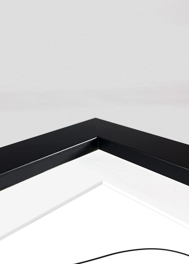 ROSE ONE-LINE DRAWING