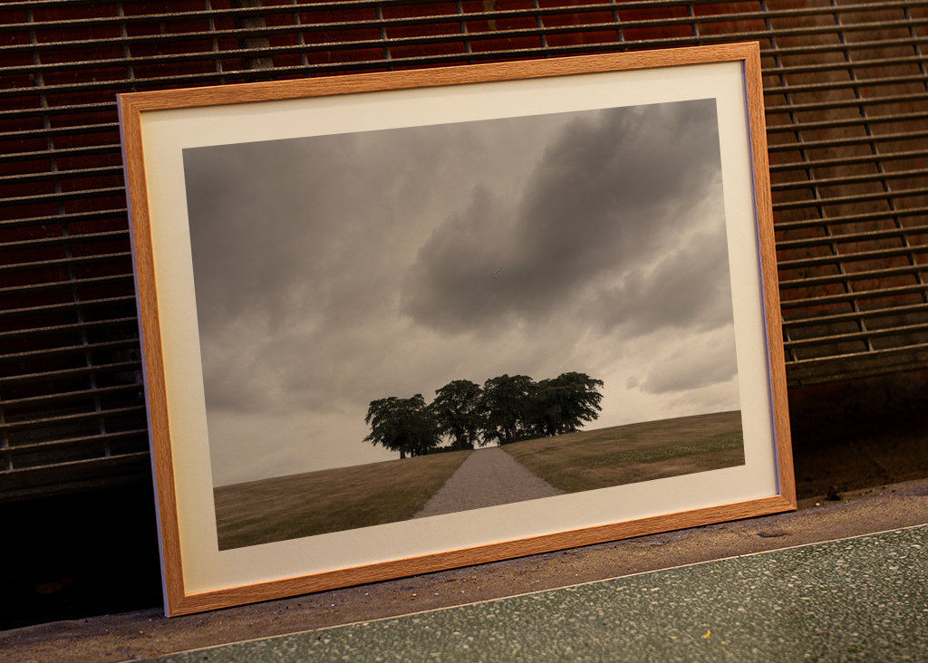 Il Cimitero del Bosco