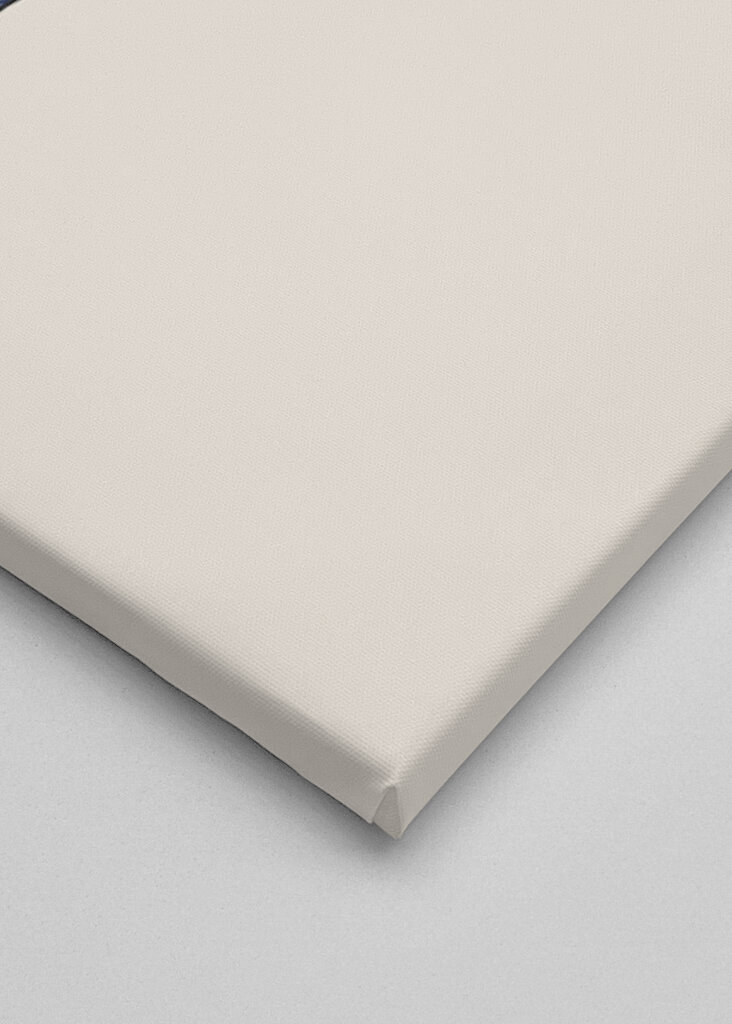 Plant with Delicate Leaves