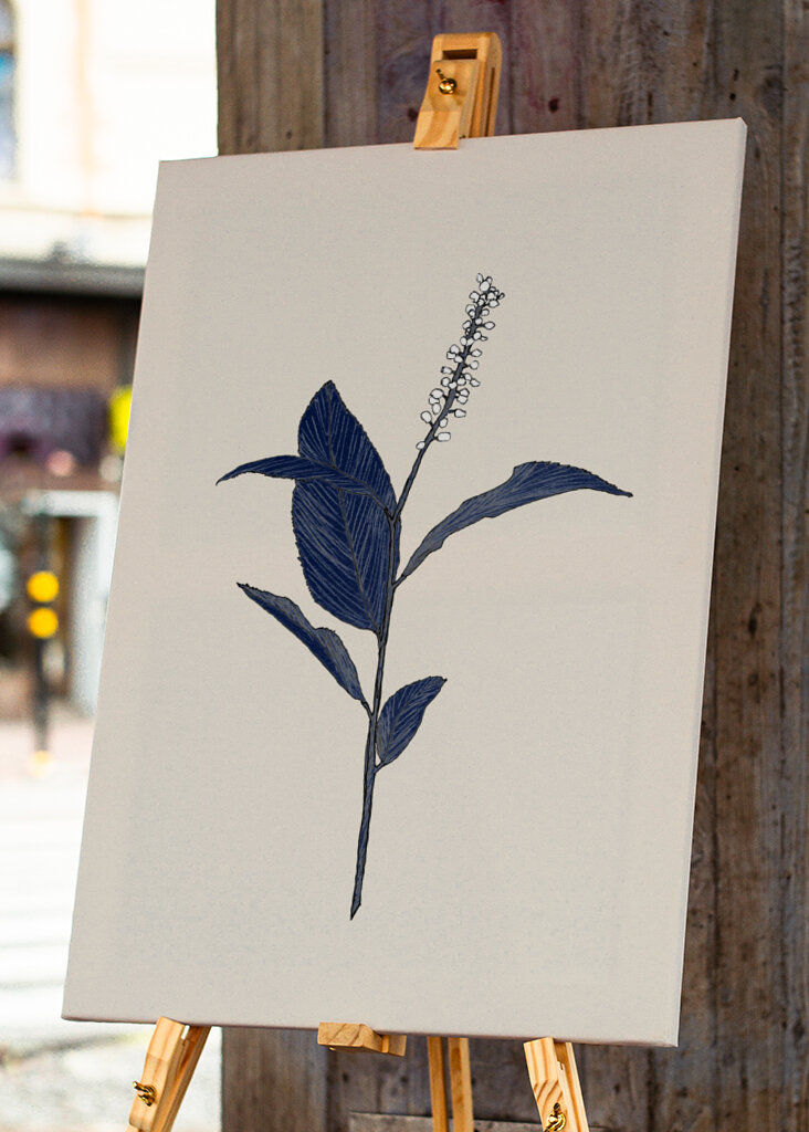 Plant with Delicate Leaves