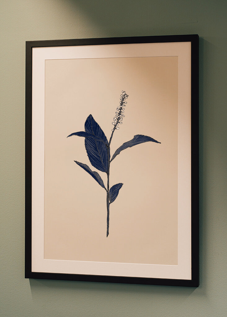 Plant with Delicate Leaves