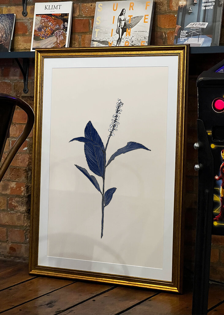 Plant with Delicate Leaves