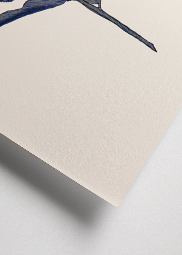 Plant with Delicate Leaves