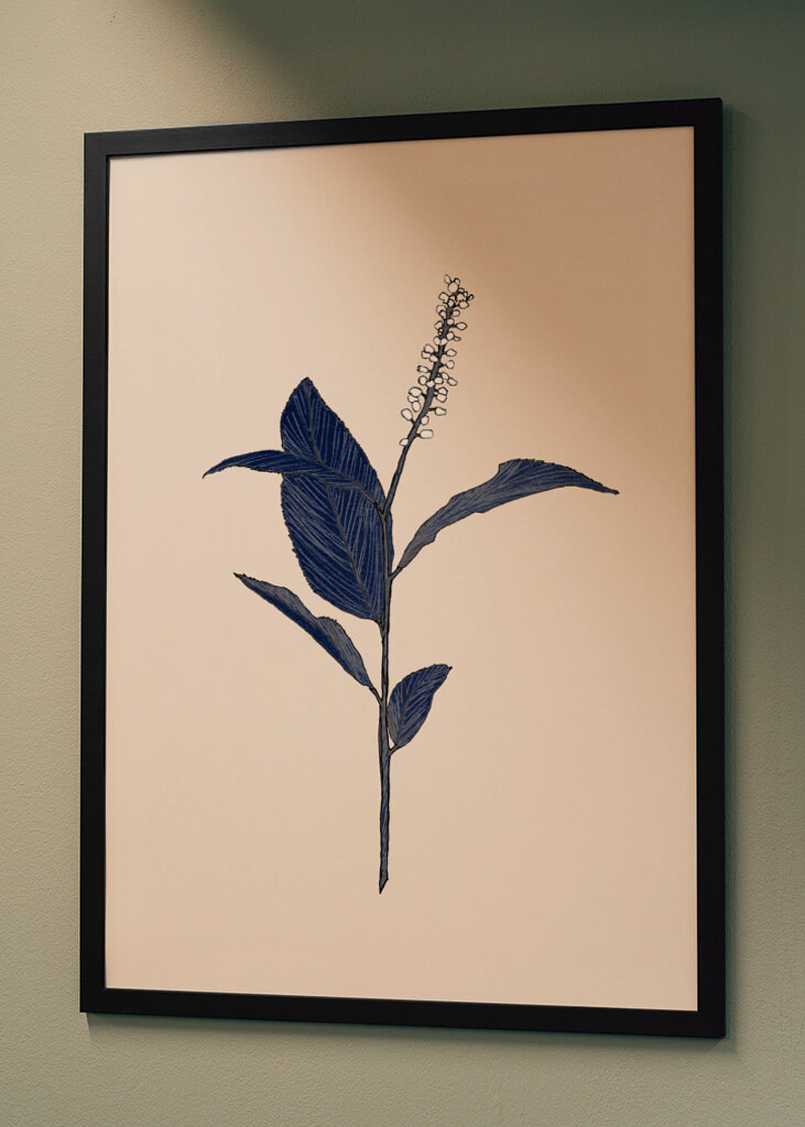 Plant with Delicate Leaves