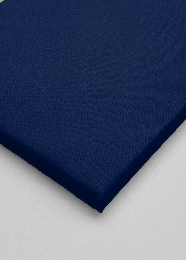 Plant with Delicate Leaves