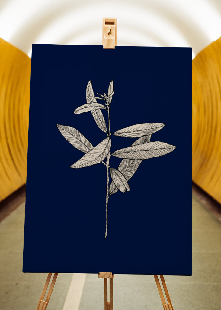 Plant with Delicate Leaves