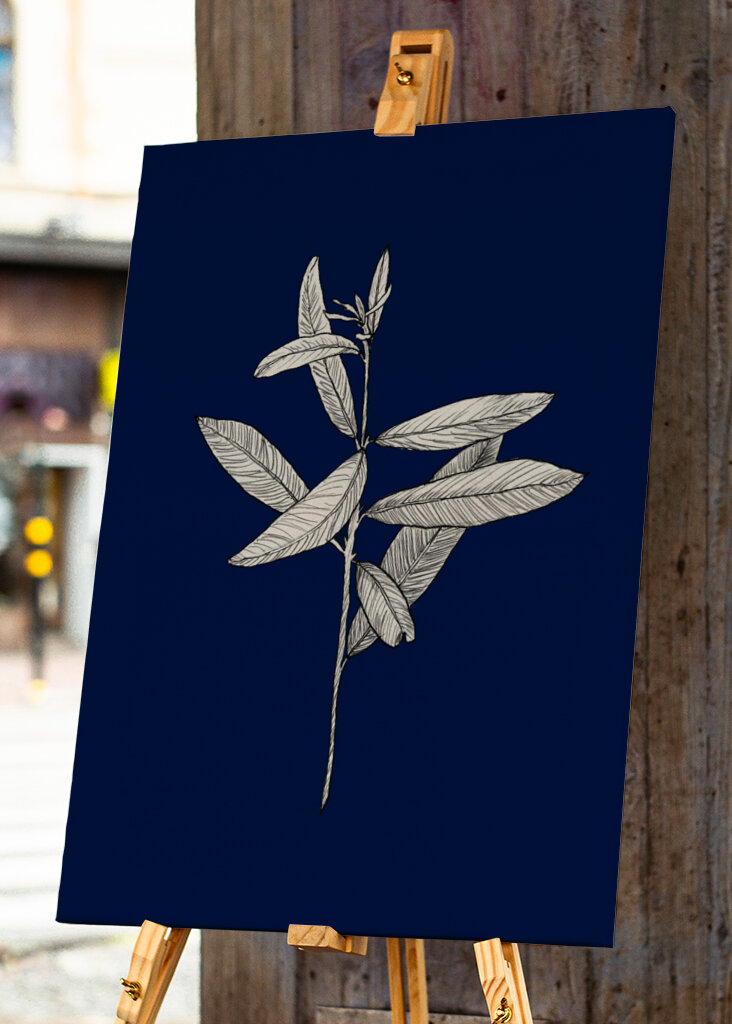 Plant with Delicate Leaves