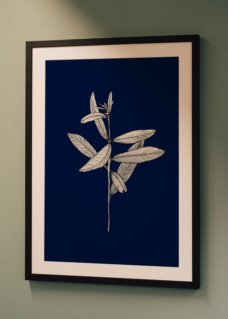 Plant with Delicate Leaves