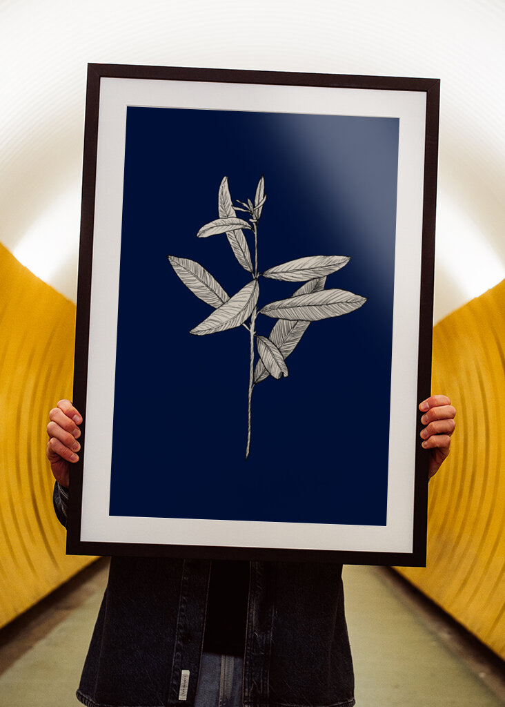 Plant with Delicate Leaves