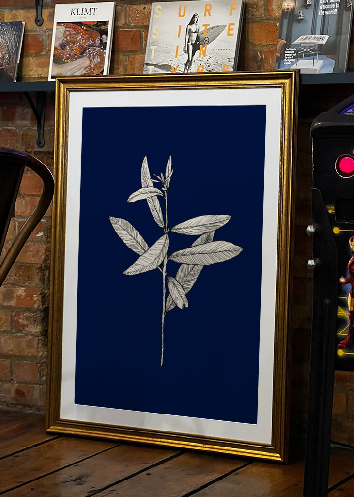 Plant with Delicate Leaves