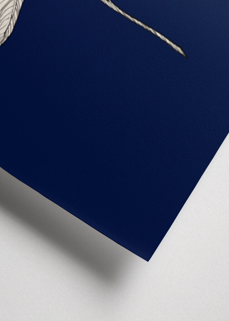 Plant with Delicate Leaves