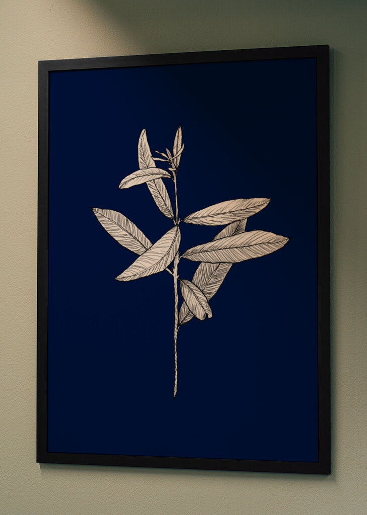 Plant with Delicate Leaves