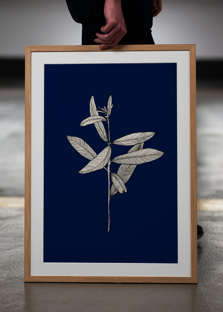 Plant with Delicate Leaves