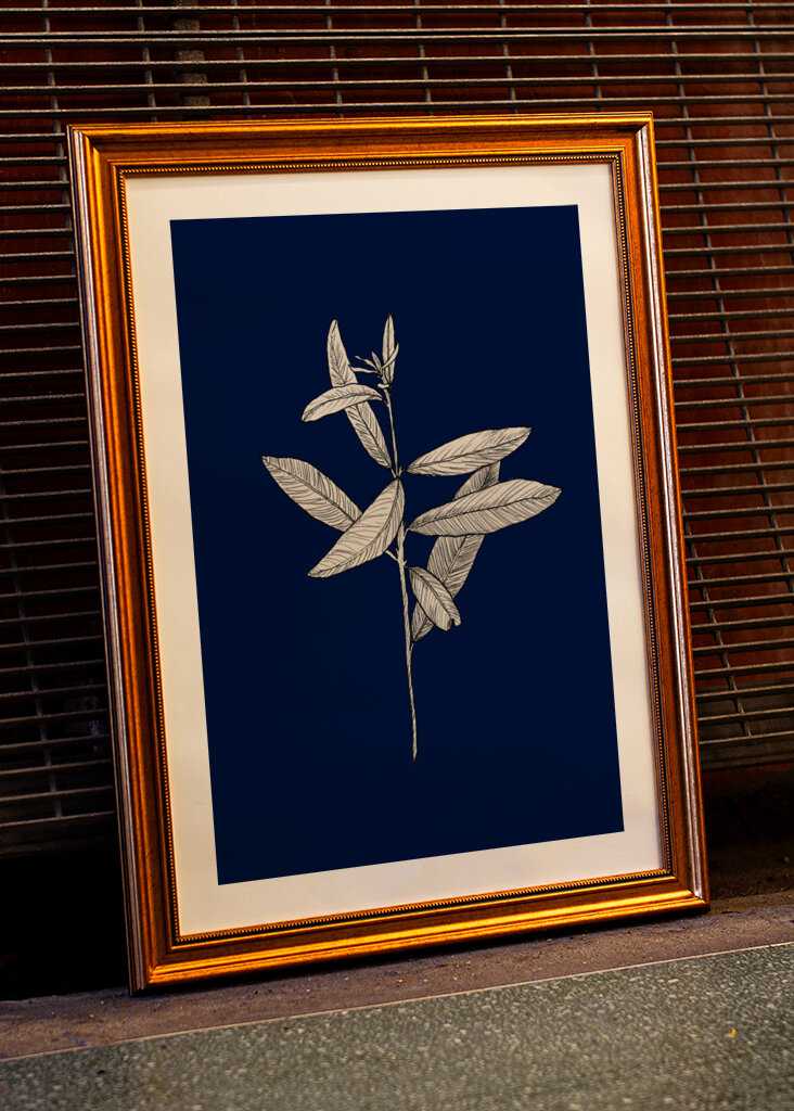 Plant with Delicate Leaves