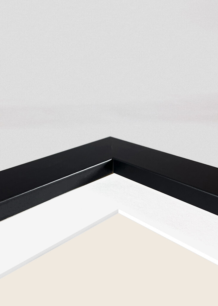 Minimalist Geometric Shapes