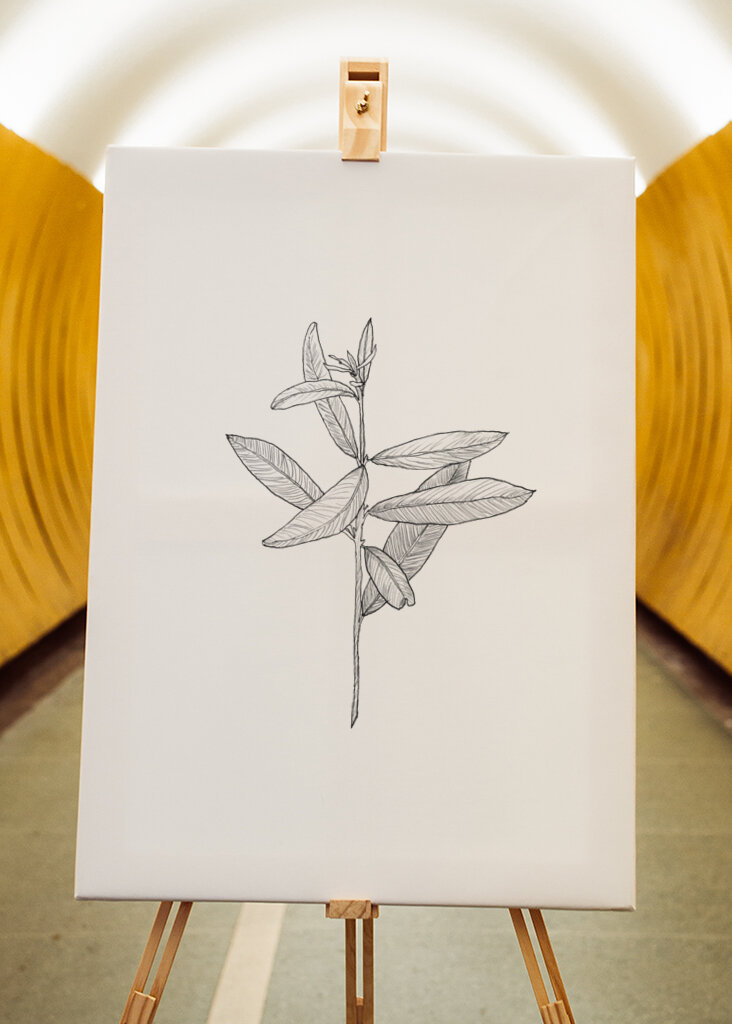 Delicate Leaf Sketch