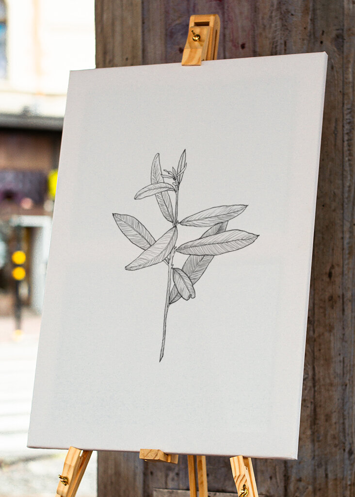 Delicate Leaf Sketch