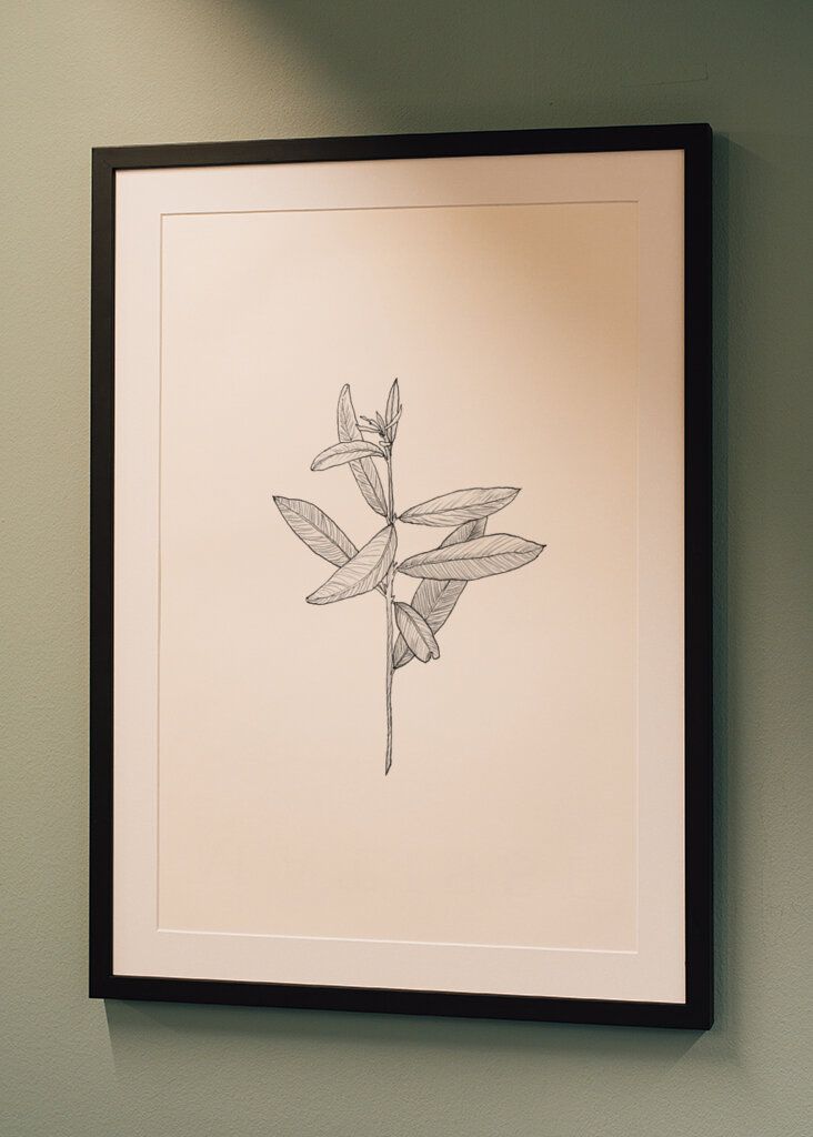 Delicate Leaf Sketch