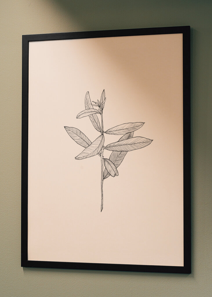 Delicate Leaf Sketch