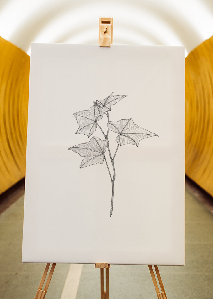 Delicate Leaf Sketch