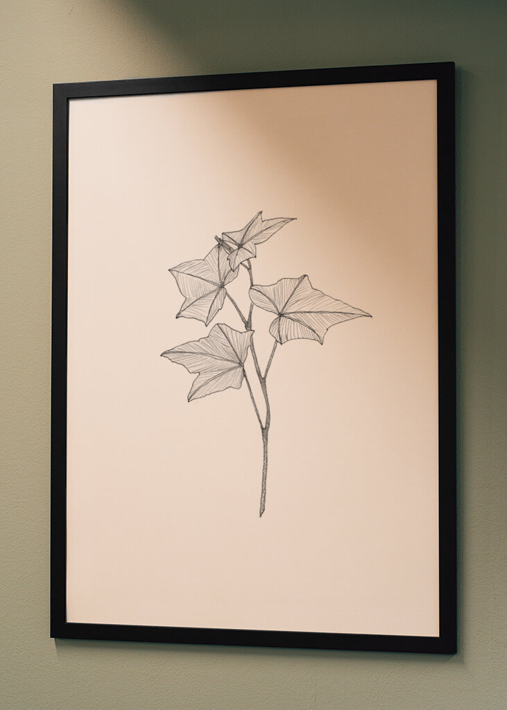 Delicate Leaf Sketch