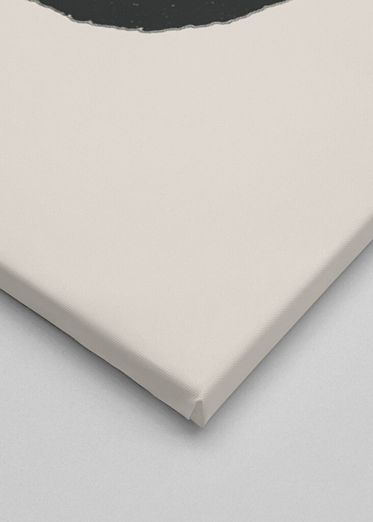 Silhouette of a Plant with Leaves