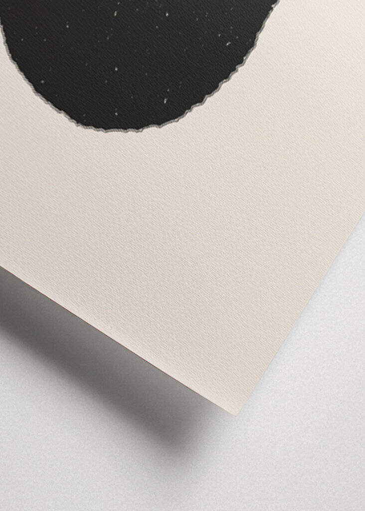 Silhouette of a Plant with Leaves