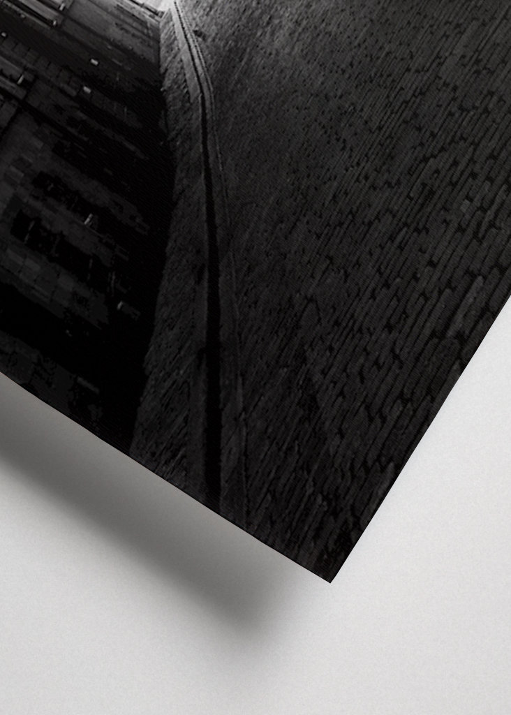 Mit den Hunden in der Altstadt spazieren gehen