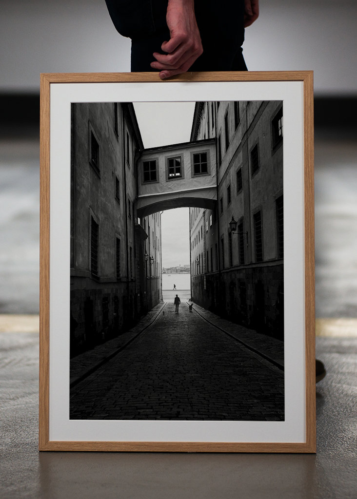 Mit den Hunden in der Altstadt spazieren gehen