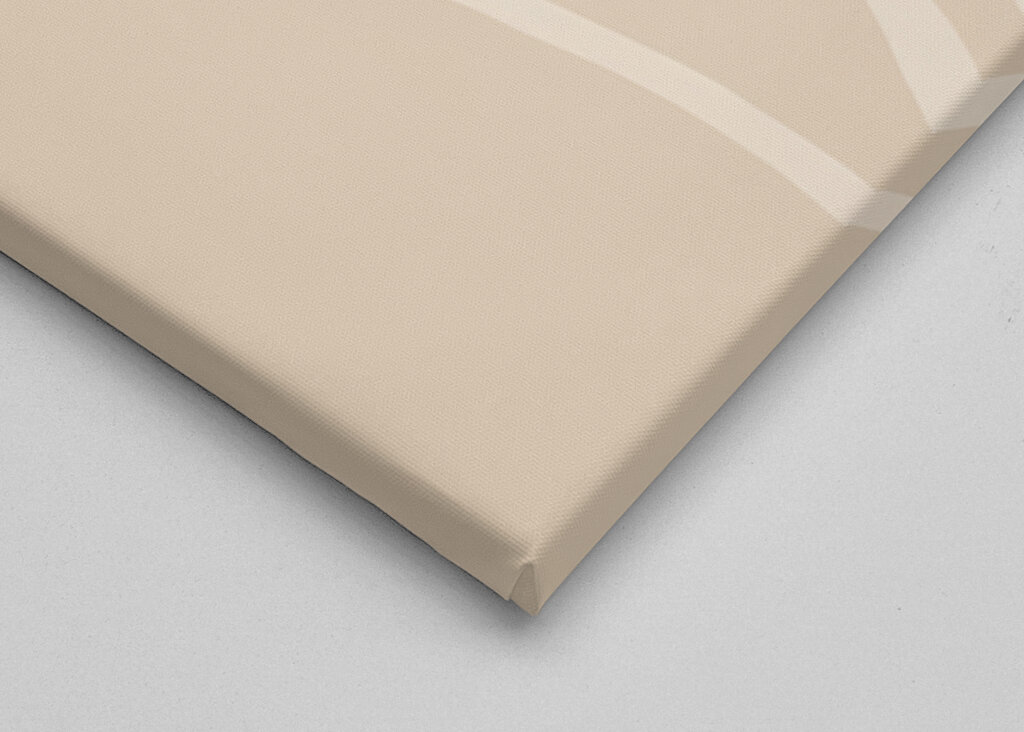 Woman's Face Portrait