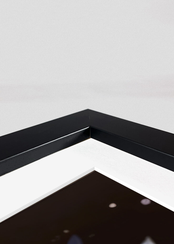 Elegance Portrait of Woman