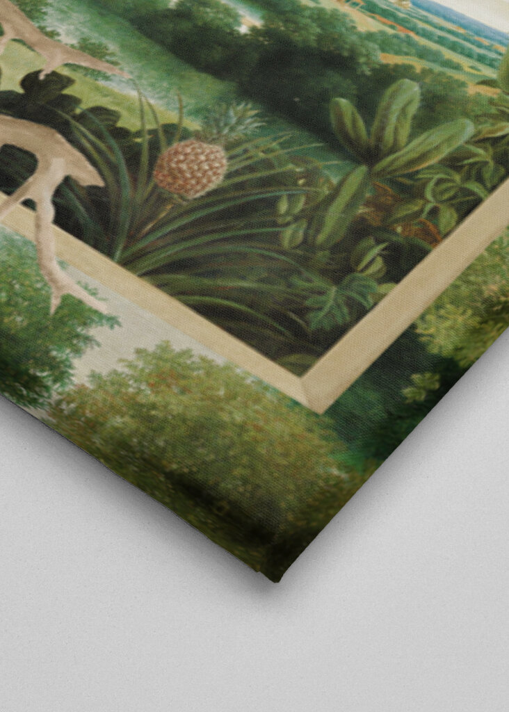 Tukan sediaci na konári