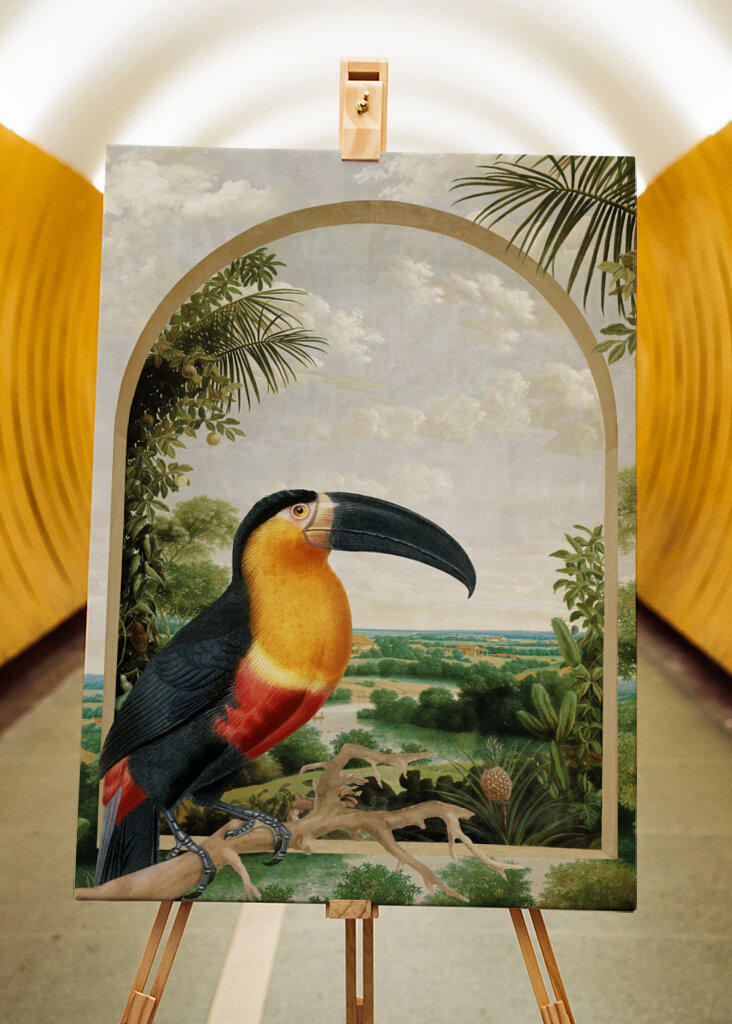 Tukan sediaci na konári