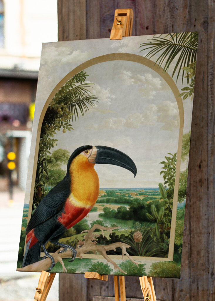 Tukan sediaci na konári