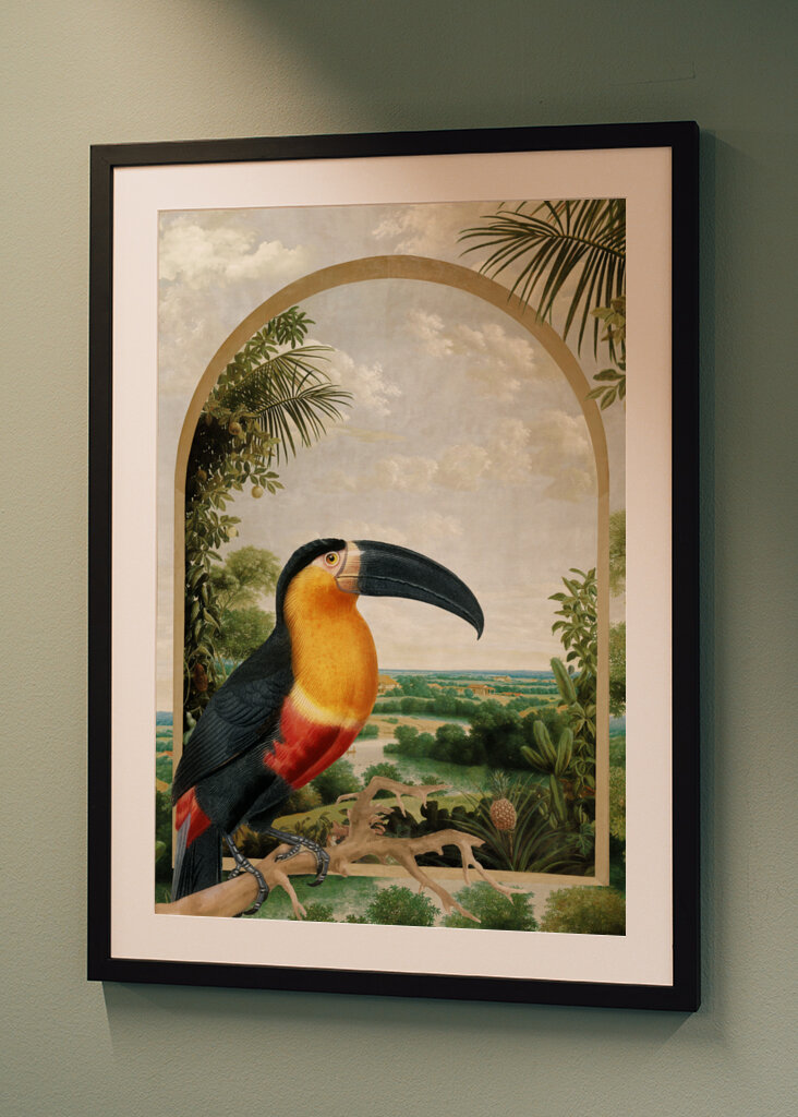 Tukan sediaci na konári