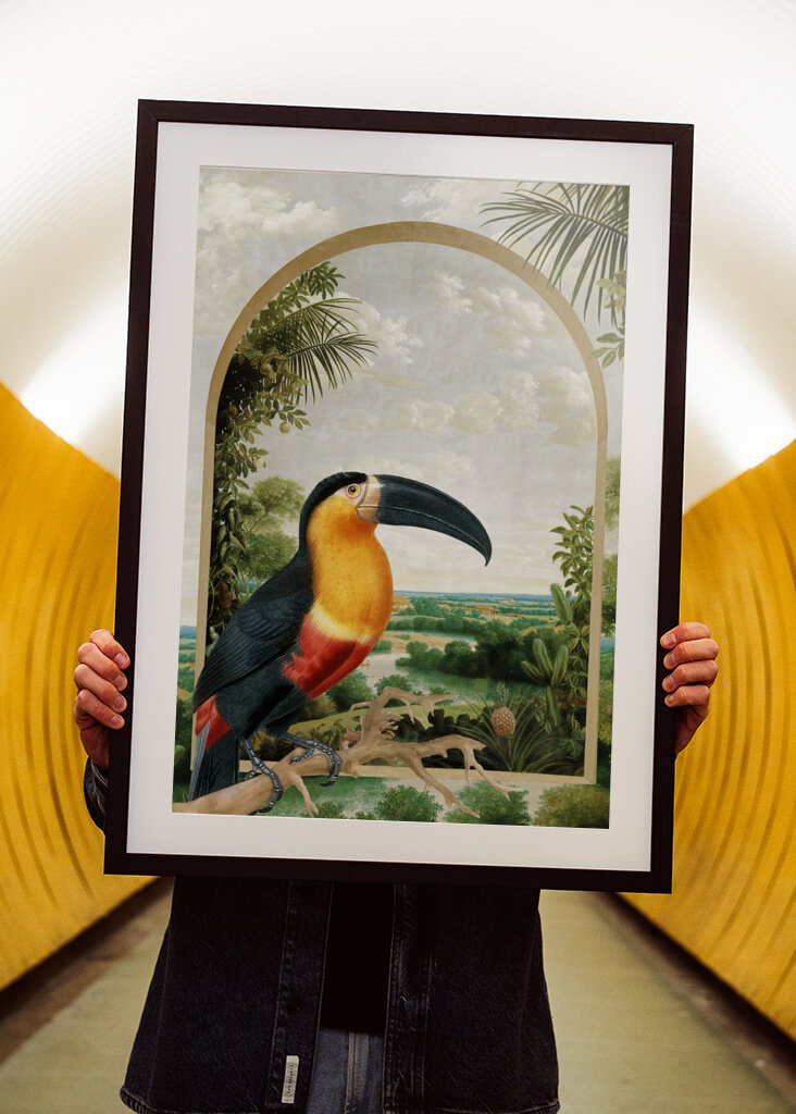 Tukan sediaci na konári