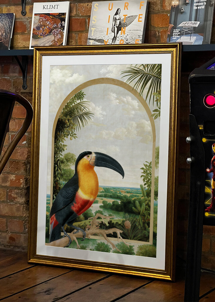 Tukan sediaci na konári