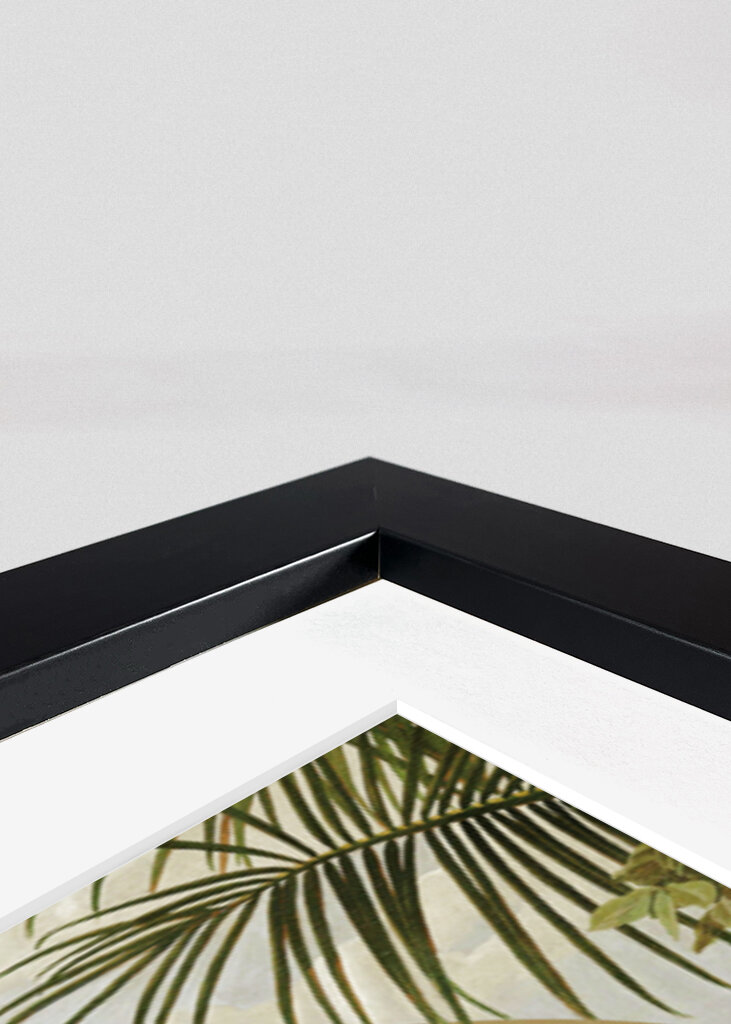 Tukan sediaci na konári