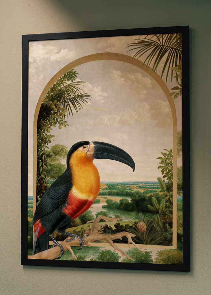 Tukan sediaci na konári