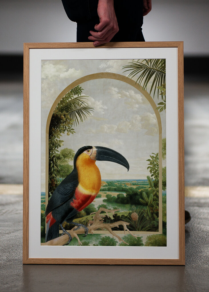 Tukan sediaci na konári