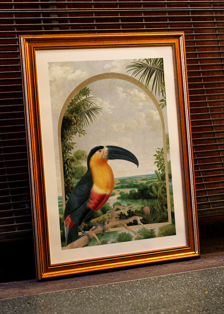 Tukan sediaci na konári