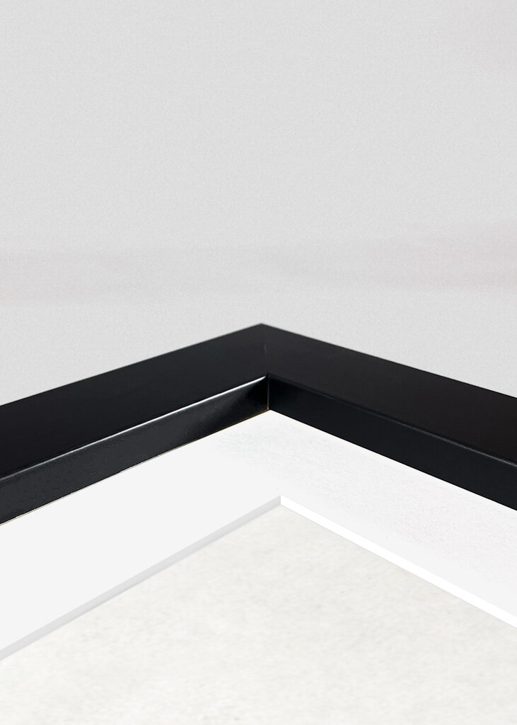 The Butterflies &amp; The Vase With Flowers