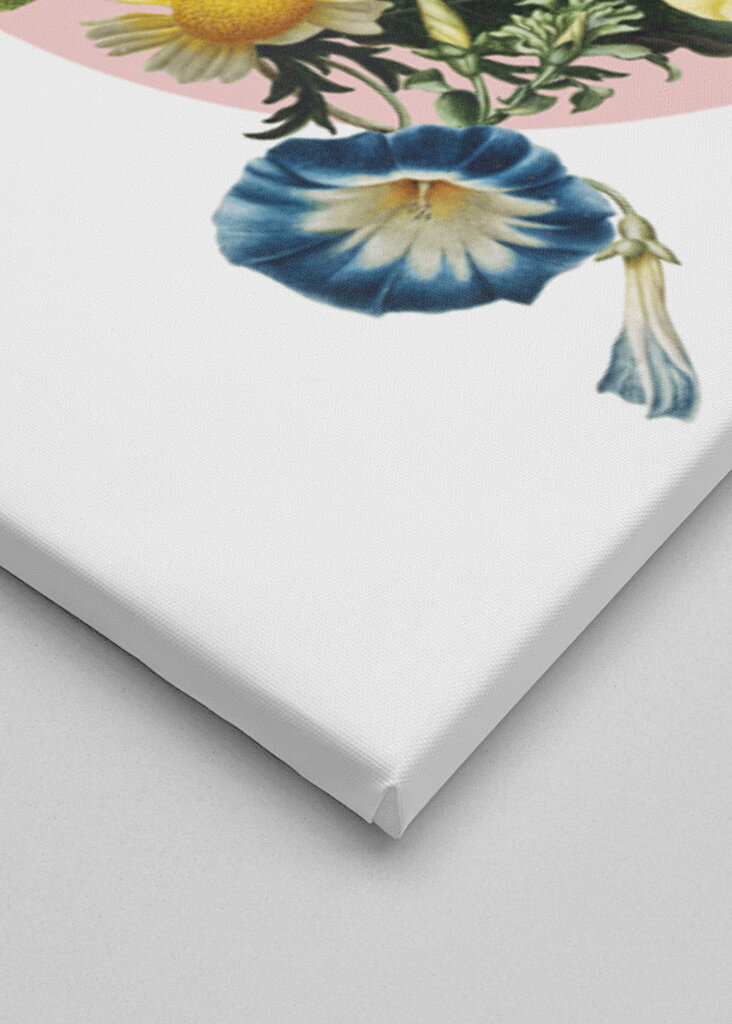 Colorful Bird Perched On A Box